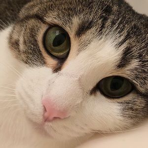 Meet your Posher, Cory